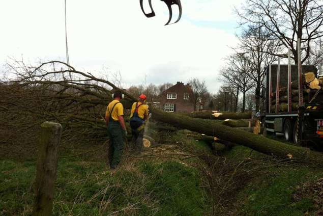 bomen uitsnoeien opruimen 2 meter hout 6 meter hout kachelhout 